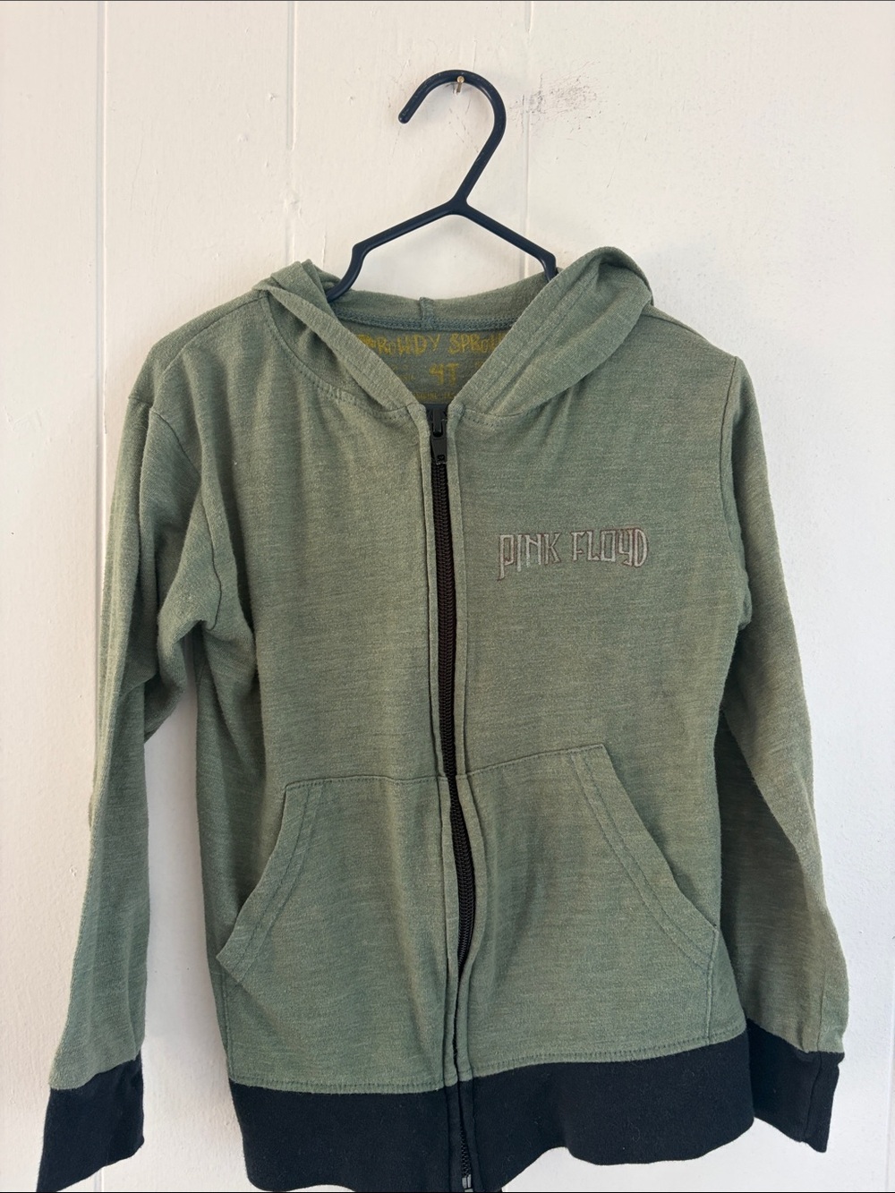 Rowdy sprout lightweight hoodie 4T